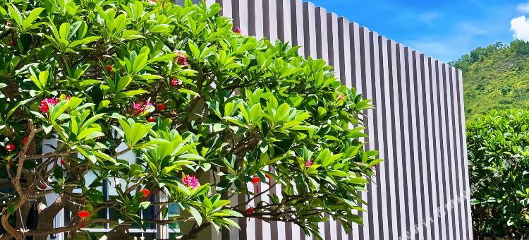 惠东合正东部湾度假酒店(十里银滩亚婆角店)图片