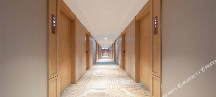 维也纳酒店(吉隆镇店)图片