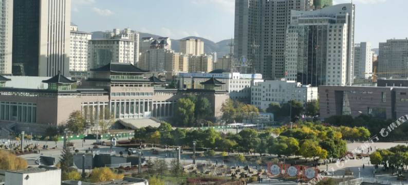 西宁蔓青枝酒店(西宁力盟步行街省博物馆店)图片