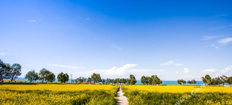 青海湖在畔海景客栈图片