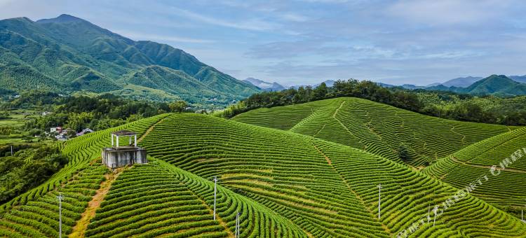 金乐雷迪森怿曼酒店图片