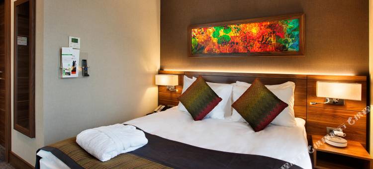 伊斯坦布尔卡德柯伊假日酒店(Holiday Inn ISTANBUL - KADIKOY by IHG)图片