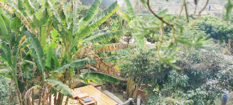 广州磨舍民宿图片