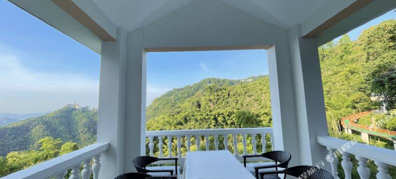 莫干山杜月笙公馆.柏野民宿图片