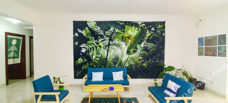 景洪市叶绿素青年旅社图片