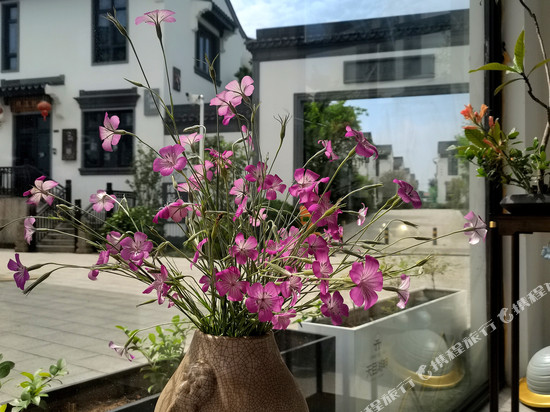 天目湖集元·民宿