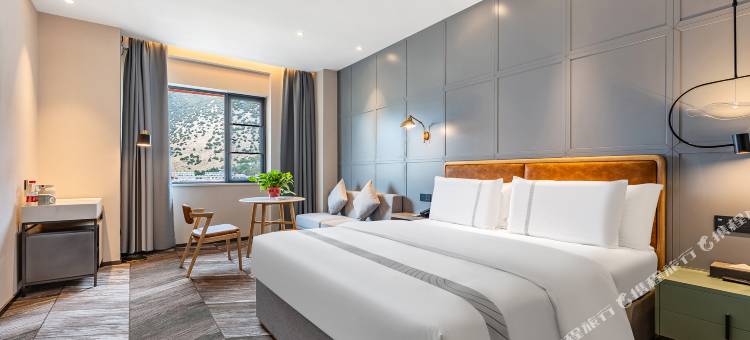 亦岚酒店(林芝市幸福小区湿地公园店)图片