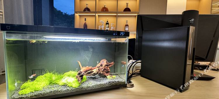 云深 · 不知处 · 私汤 · 温泉别墅(花水湾店)图片
