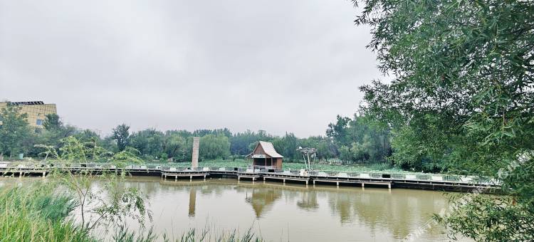 德州微排万信瑞铂酒店图片