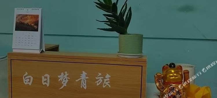 成都白日梦青旅民宿图片