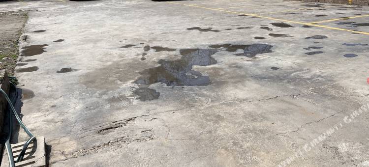 嘉禾龙凤宾馆图片