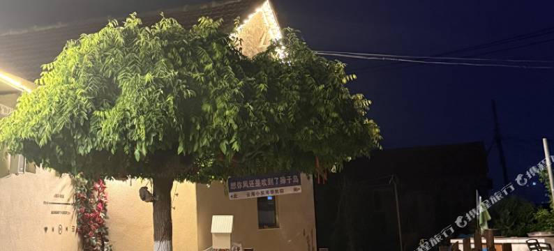 獐子岛云海小筑民宿图片