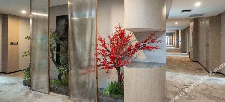 广元金悦酒店(高铁站图腾广场店)图片