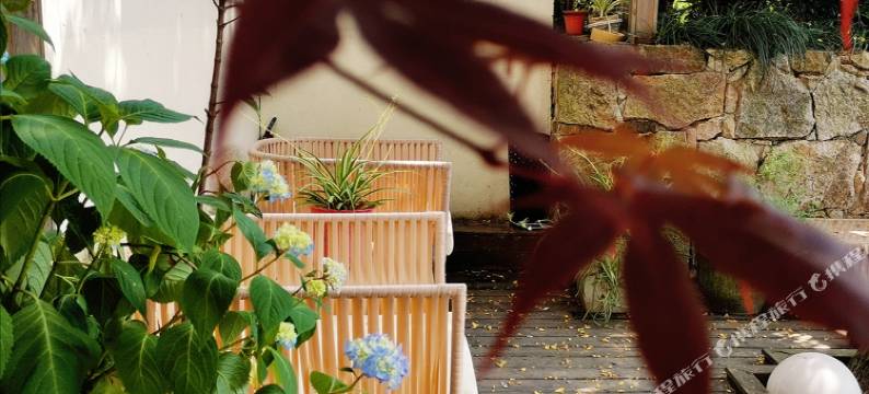 苏州玖树·溪岸人文旅店图片