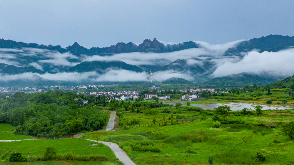 Jiuhua Mountain Leisure HouseOver view