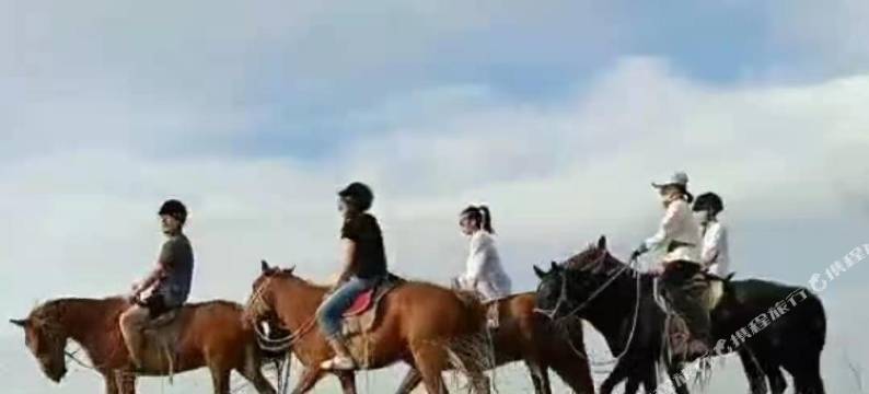 希拉穆仁草原蒙古包图片