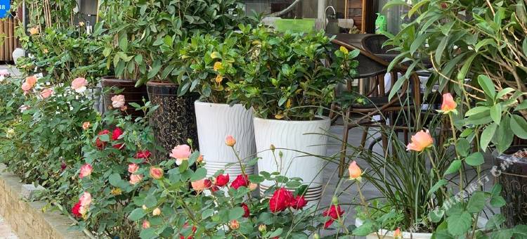 花筑·隐龙客栈(宁国皖南川藏线)图片