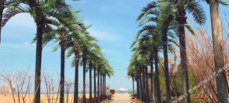 东戴河你我他公寓式酒店(佳兆业店)图片