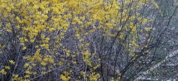 冰峪沟庆洋农家院图片