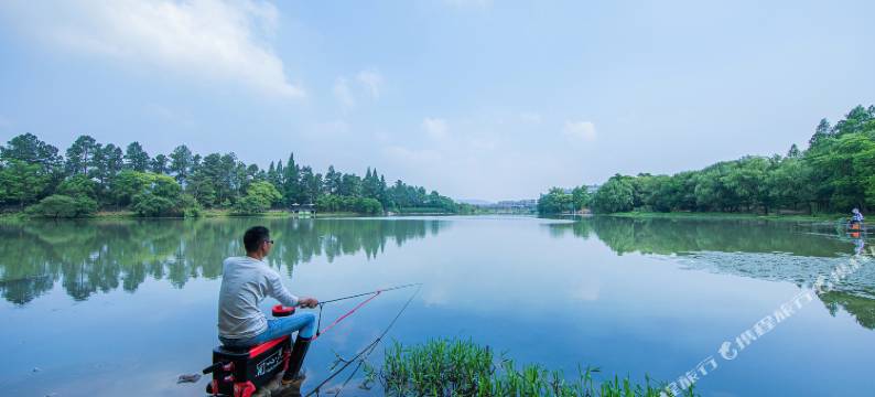 安吉绿竹桃园民宿(竹博园店)图片