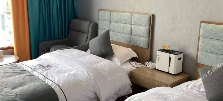 萨嘎欧冠精品大酒店图片