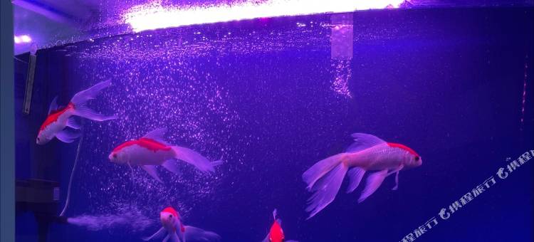大同永安宾馆图片