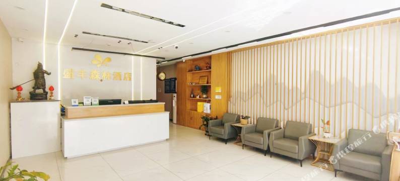 盛丰森林酒店(青年大街地铁站店)图片