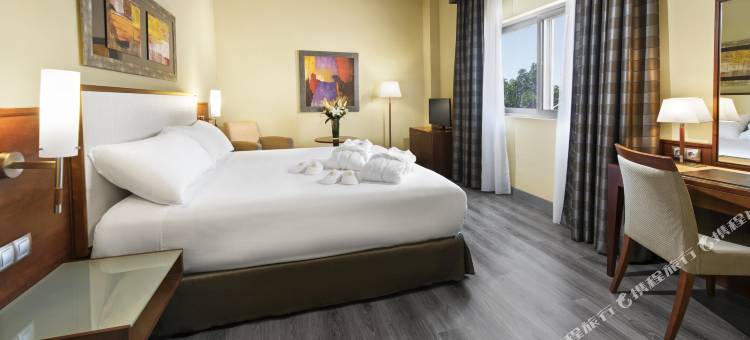 厄尔巴阿尔梅里亚商务会议酒店(Elba Almeria Business & Convention Hotel)图片