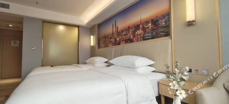 维也纳酒店(茂名电白岭门店)图片