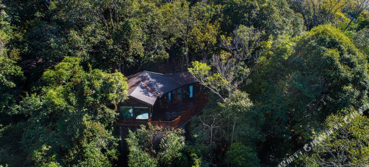 普洱小熊猫庄园图片