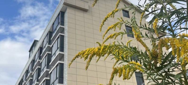 石光庭院民宿(石塘半岛旅游度假区店)图片