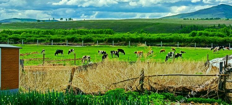 额尔古纳于晓艳旅游之家民宿图片