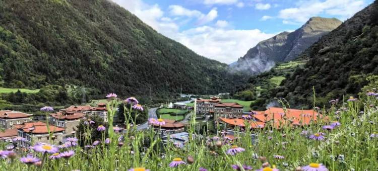 贡嘎山雪域景观民宿图片