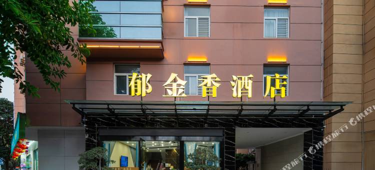 元江郁金香酒店图片