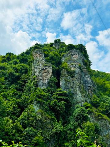 安吉·朗月行野奢民宿(浮憩谷店)图片