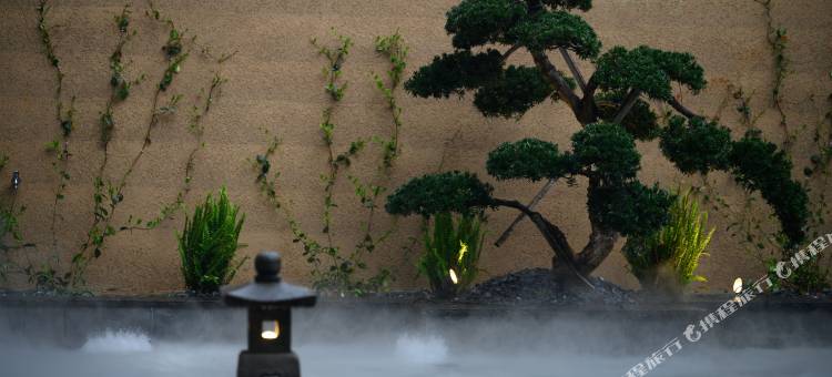 沙溪·风雅颂村居民宿图片