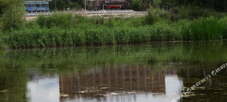 贵德银龙国际饭店图片