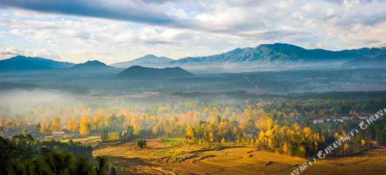 银杏村舒心客栈图片