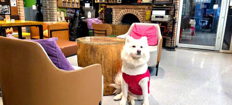 青游记自由行国际青年旅舍(青岛站银鱼巷店)图片