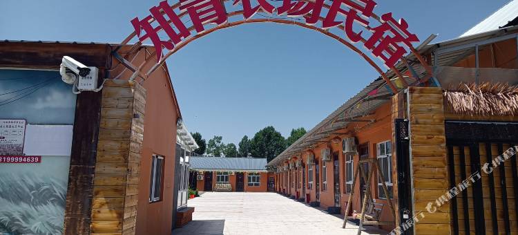 昭苏知青农场民宿(灯塔知青馆店)图片