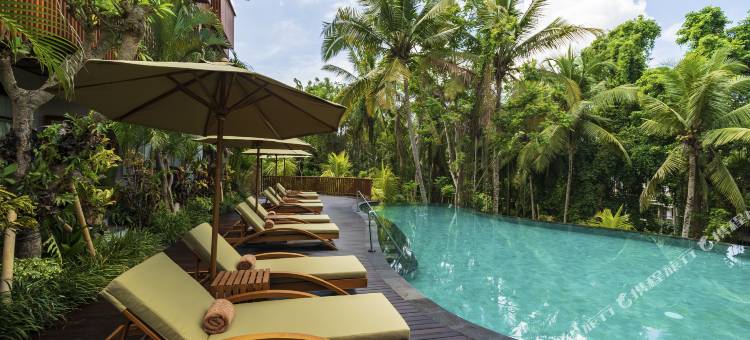 阿迪瓦纳乌纳吉套房酒店(Adiwana Unagi Suites)图片