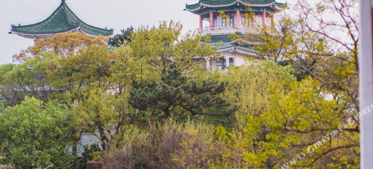 最上云音民宿(青岛小鱼山公园大学路店)图片