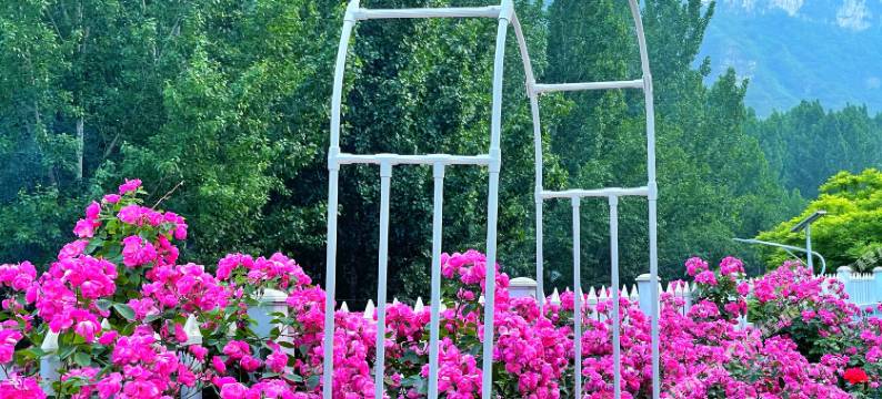 野三坡悦栈图片