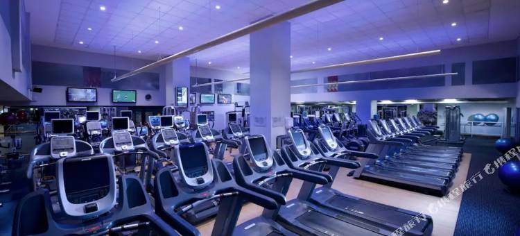 悉尼温德姆俱乐部(Club Wyndham Sydney, Trademark Collection by Wyndham)图片