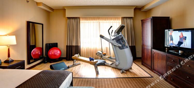 芝加哥罗斯蒙特欧海尔机场希尔顿逸林酒店(DoubleTree by Hilton Chicago O'Hare Airport-Rosemont)图片