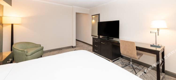 纽瓦克宾州车站希尔顿逸林酒店(DoubleTree by Hilton Newark Penn Station)图片