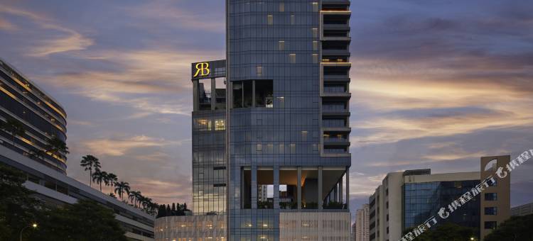 新加坡小印度假日酒店 - IHG 旗下酒店(Holiday Inn Singapore Little India)图片