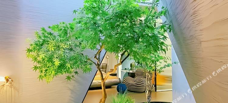 香榭雨林·度假酒店(香格里拉独克宗古城店)图片