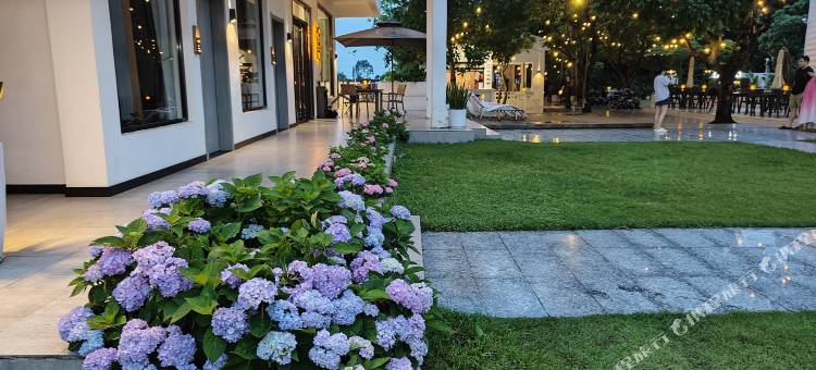 东兴在海边小住茶古小院图片