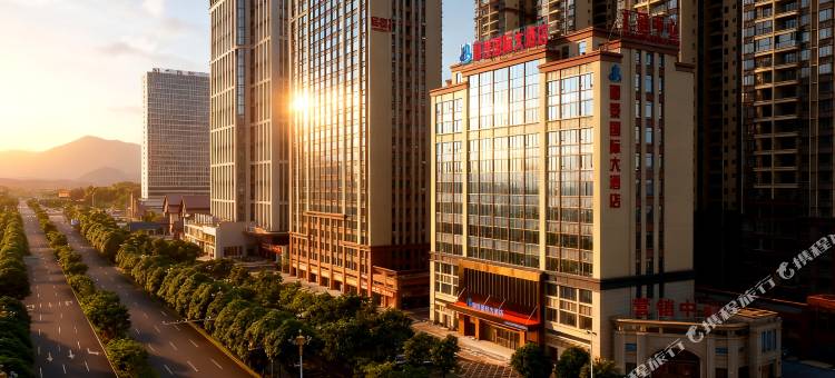 郦景国际大酒店(防城港高铁北站店)图片